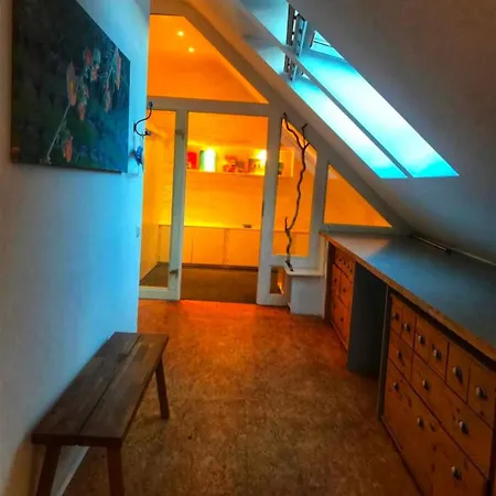 Apartman Himmelshoeh - Lichtdurchflutete *